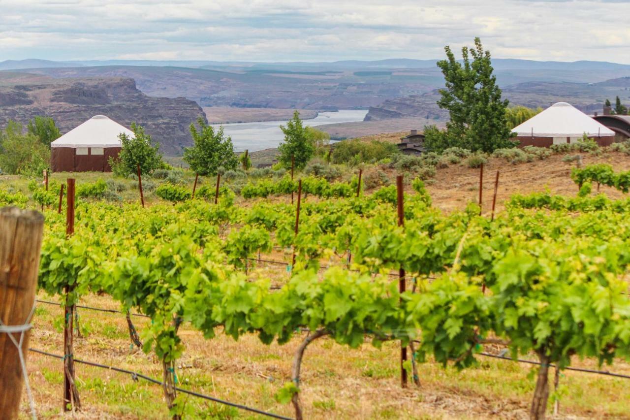 Columbia River Gorge Retreat At Cave B Ridge Quincy Dış mekan fotoğraf